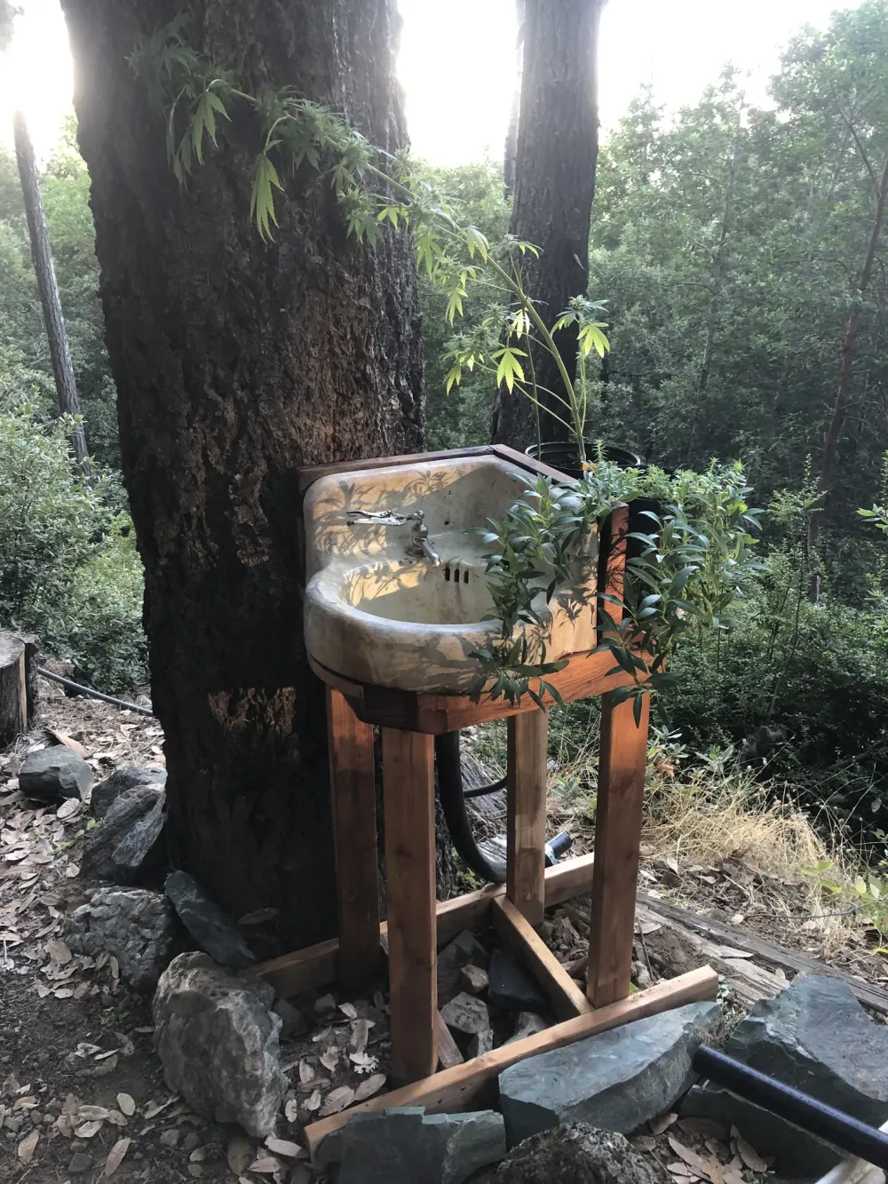 Rustic outdoor sink image